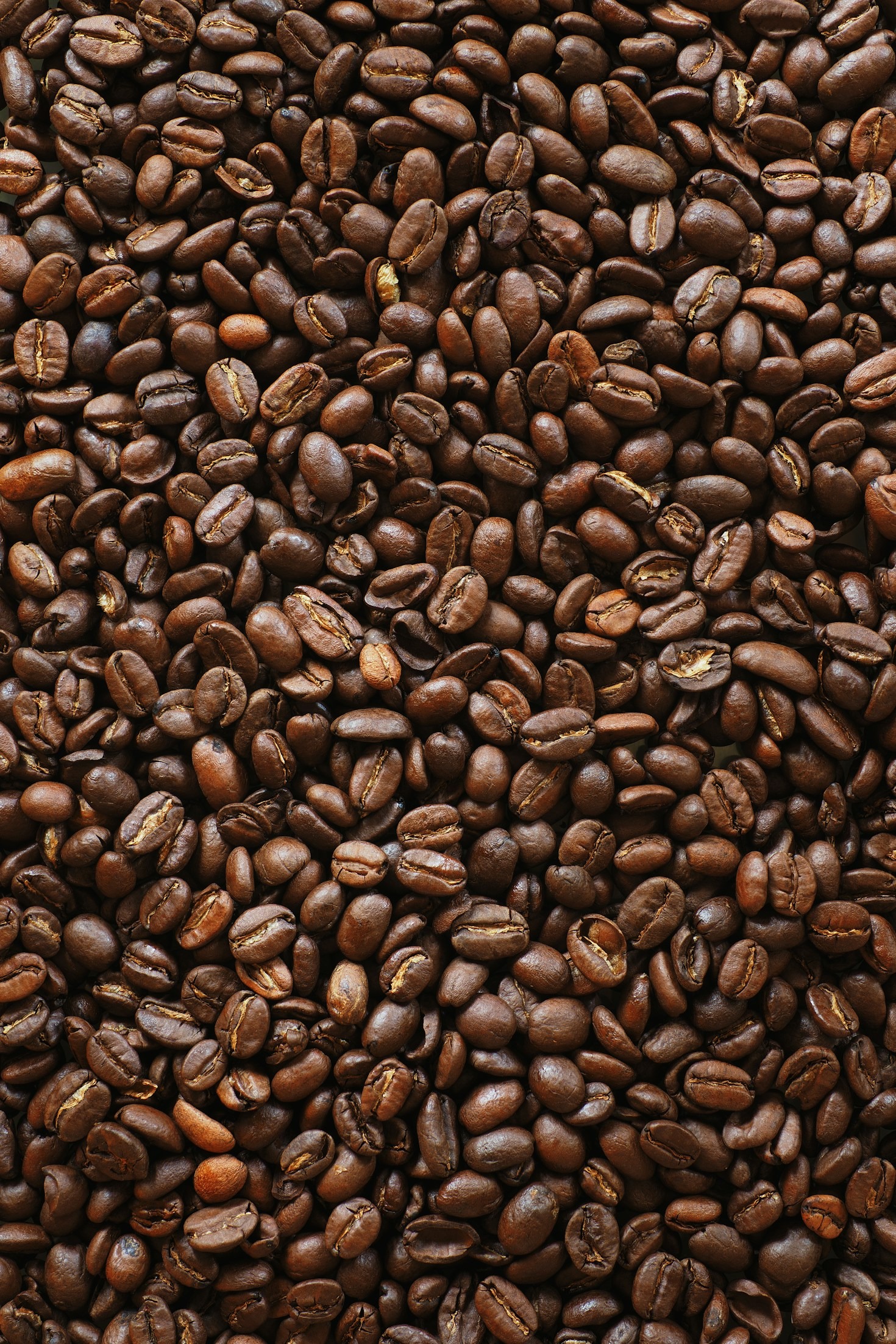 Why Single-Origin Coffees Are a Must-Try