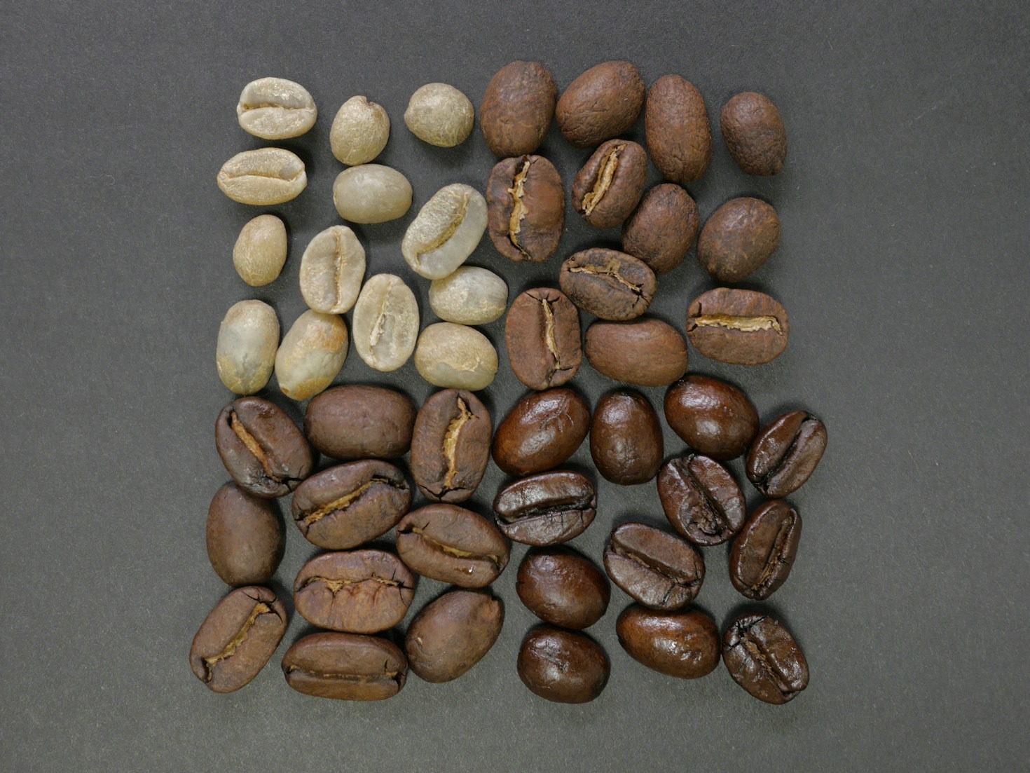 The Art of Coffee Roasting: Behind the Scenes